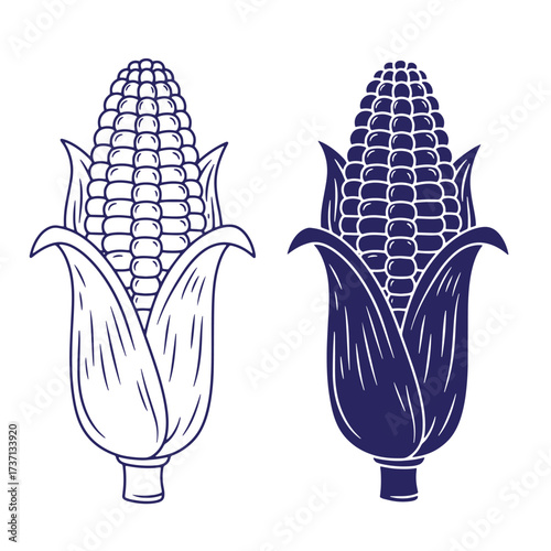 Two corn on the cob illustrations in minimalist line art style for design projects