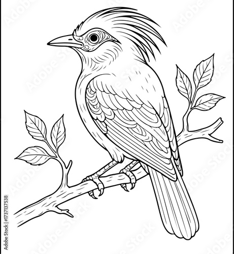 Hoopoe Bird With Crest Perched On Branch Botanical Coloring Page