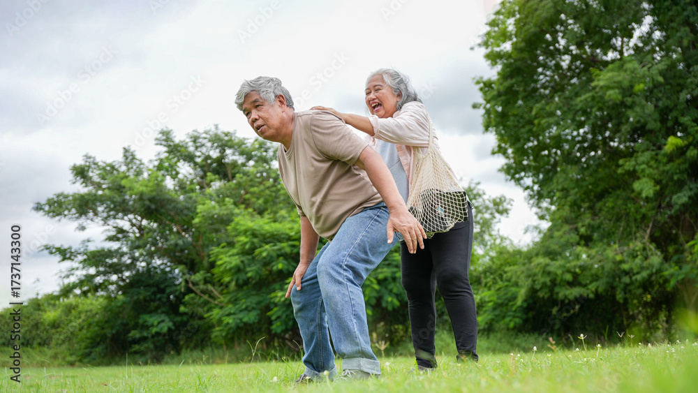 Fototapeta premium Happy Senior Couple in Green Park Outdoors, Elderly Man and Woman Enjoying Nature Walk and Conversation, Smiling Retired Couple Spending Leisure Time in Meadow