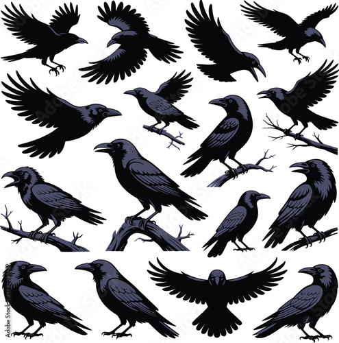 Silhouettes of Ravens and Crows in Various Poses