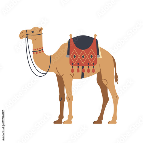 Camel with Decorative Saddle