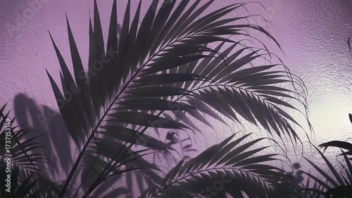 Abstract pattern of tropical plant shadow shapes cast upon lilac-toned background with ridged translucent surface effect