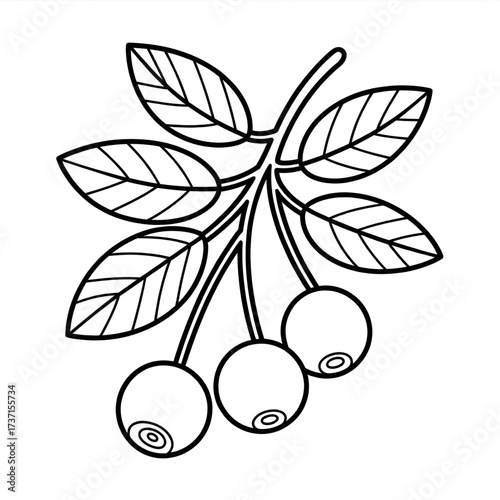 Cherry Branch Coloring Page for Kids: Fruit, Nature, and Garden Scene Printable