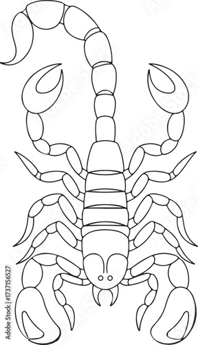 Hand Drawn Scorpion Vector Illustration  Black and White Ink Sketch