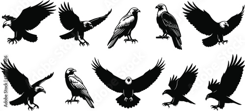Bird of prey, eagle silhouette, hawk pose, flying raptor, perched bird, vector art, isolated, white background, wildlife design, predator