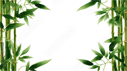 Bamboo trees with stems and green leaves isolated on a white background. Clip art style frame illustration. Vector illustration