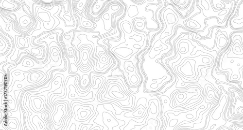 Fish Fillet Texture, Salmon fillet texture, fish pattern. paper texture, Abstract outline grid, vector illustration. Topography and geography map grid abstract backdrop
