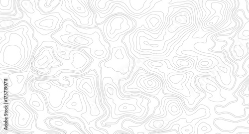 Fish Fillet Texture, Salmon fillet texture, fish pattern. paper texture, Abstract outline grid, vector illustration. Topography and geography map grid abstract backdrop
