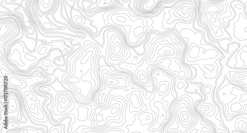 Fish Fillet Texture, Salmon fillet texture, fish pattern. paper texture, Abstract outline grid, vector illustration. Topography and geography map grid abstract backdrop
