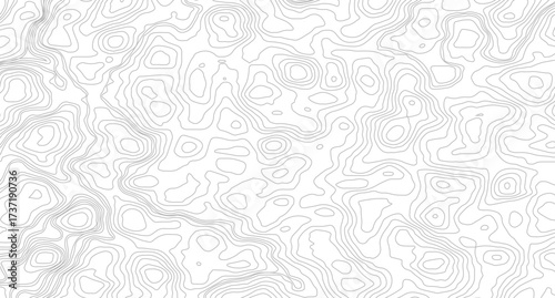 Fish Fillet Texture, Salmon fillet texture, fish pattern. paper texture, Abstract outline grid, vector illustration. Topography and geography map grid abstract backdrop
