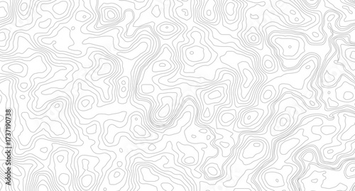 Topography and geography map grid abstract backdrop. Business concept. Fish Fillet Texture, Salmon fillet texture, fish pattern. paper texture
