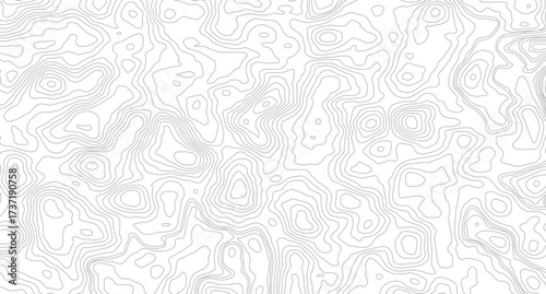 Topography and geography map grid abstract backdrop. Business concept. Fish Fillet Texture, Salmon fillet texture, fish pattern. paper texture
