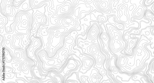 Topographic contour map. similarcartography illustration. Topography and geography map grid abstract backdrop. Business concept. 
