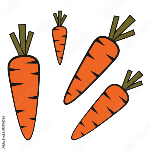Four orange carrots with green tops isolated fresh produce vegetables healthy food ingredient silhouette