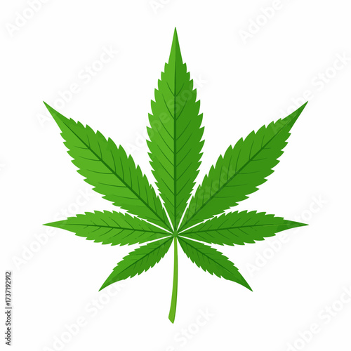 Detailed Illustration of a Vibrant Green Marijuana Leaf Isolated on a White Background