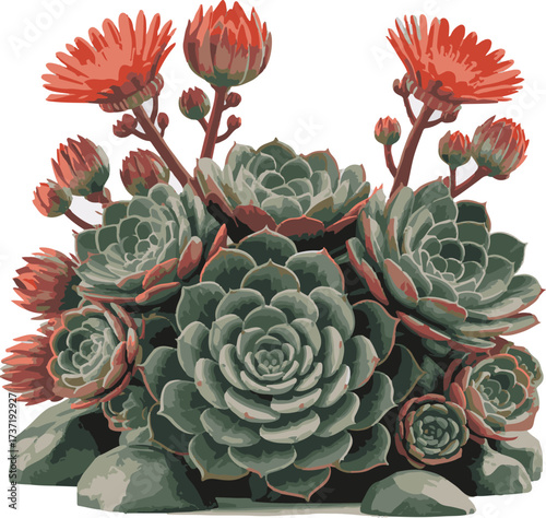 Photorealistic Succulent Rosette with Vibrant Colors and Blooming Flowers