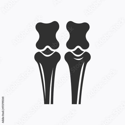 Illustration of Two Human Bones, Bone Anatomy