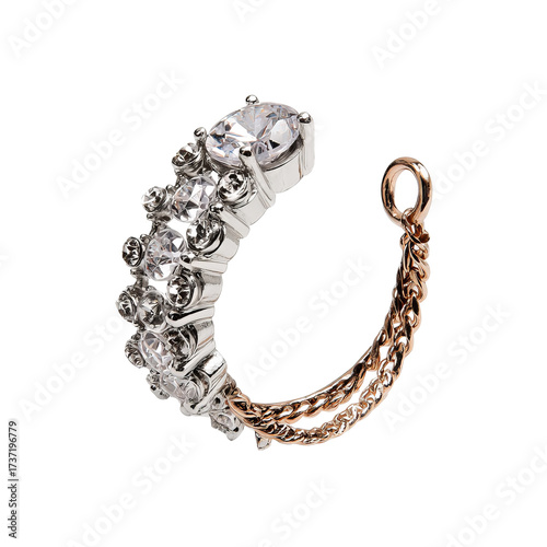 A  sparkling,  double-toned  ear  ring