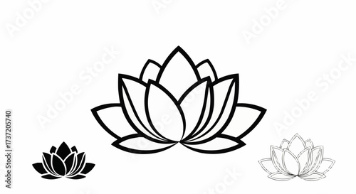 lotus flower isolated on white background
