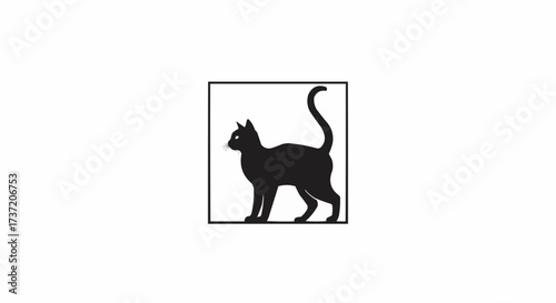 black cat on white background
