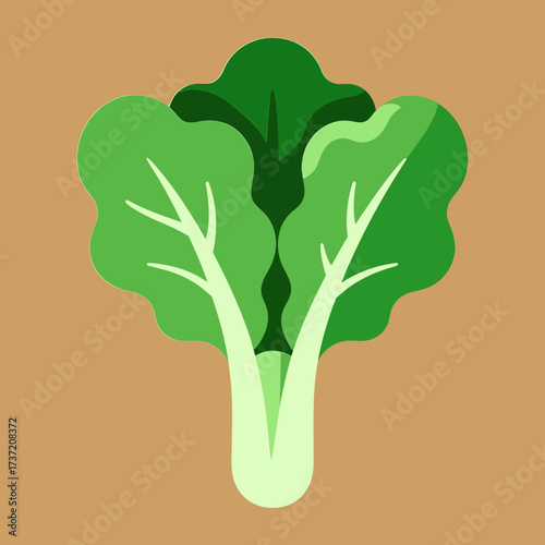 Fresh Green Bok Choy on Warm Earthy Background