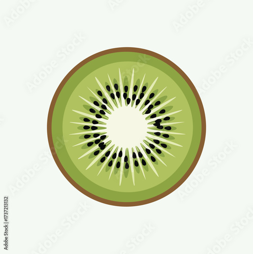 vector illustration of the inside of a kiwi fruit