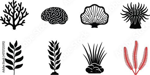 A collection of marine life and plant silhouettes ideal for biology, nature and educational materials