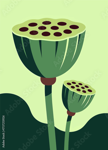 Poppy Seed Pods in Minimalist Green Landscape