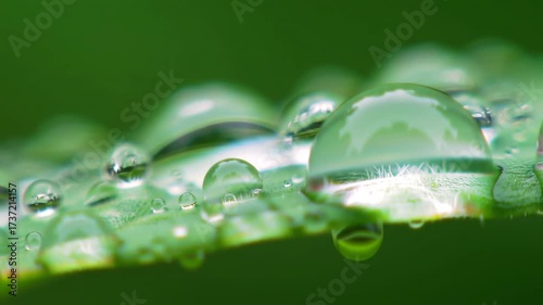 Macro Raindrops on Green Leaf A Serene Nature Scene.
