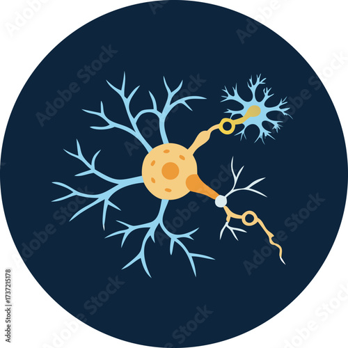 Neuron Cell Diagram Illustration of Human Nervous System Anatomy