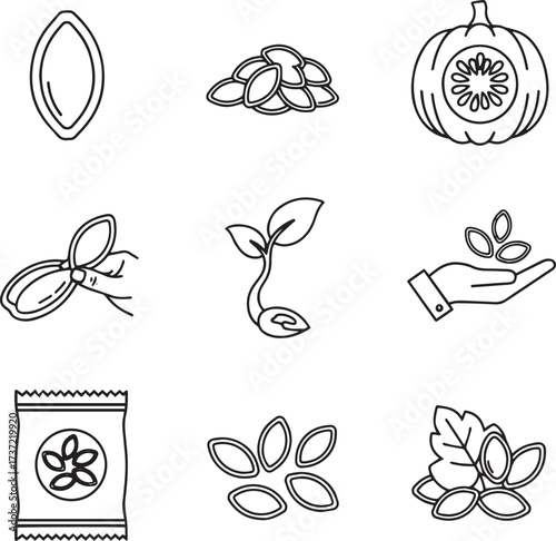 A collection of outlined icons illustrating the fundamental aspects of seed planting, plant growth, and cultivation. Featured elements include individual seeds, seed piles, a pumpkin cross-section wit