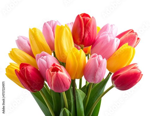 Mixed Tulip Bouquet in Pink, Yellow, and Red PNG