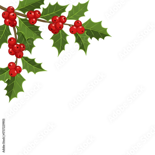 Vector illustration of a holly branch with green leaves and bright red Christmas berries