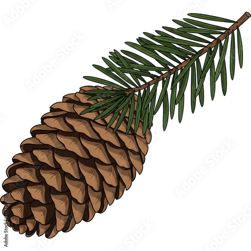 Pine Cone & Fir Sprig