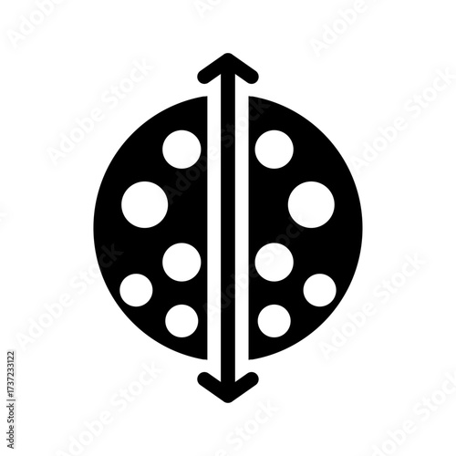Ladybug Symmetry Line Icon of Symmetry and Asymmetry Icon Set