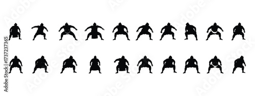 Sumo Wrestler Icon Set Vector