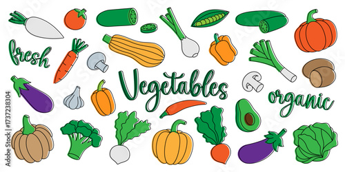 Vegetables set. Fresh raw vegetables. Organic foods design for food market, ecommerce, products promotion. Healthy eating. Vector illustration.