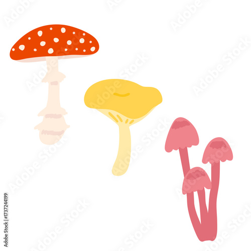 Mushroom