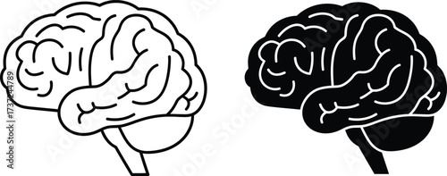 Brain Illustrations Black and White Human Brain Anatomy on Transparent Background