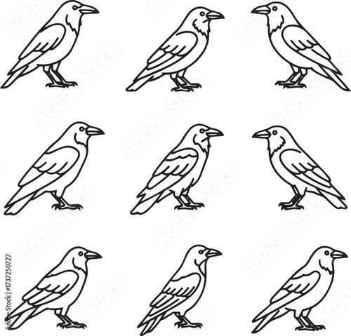 A black and white line art illustration features a grid of nine identical crow-like birds. Each bird is depicted in profile, standing with its beak slightly open and facing to the right. 