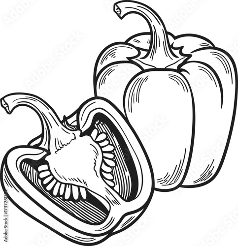 Simple line art illustration of bell pepper and a half, isolated on white background, ideal for coloring books and culinary designs