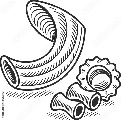 Hand drawn pasta illustration isolated on white background shows elbow macaroni, ditalini, and rotelle in a black and white sketch