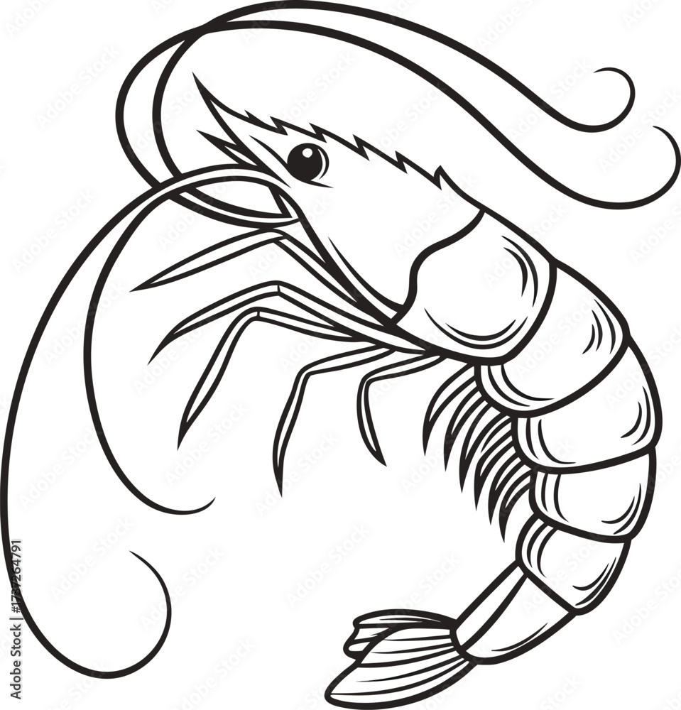 Fototapeta premium Shrimp isolated on white background, a delectable seafood delicacy in a simple vector style for culinary and artistic creations