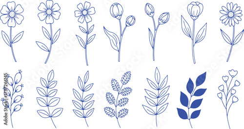 Collection of Hand Drawn Blue Floral Elements and Leaves flower leaf