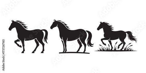 horses on the white background