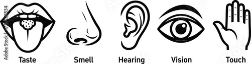 Five Human Senses Outlines Taste, Smell, Hearing, Vision, and Touch on White