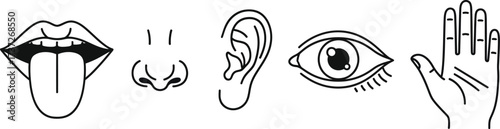Five Human Senses Concept on White Taste, Smell, Hearing, Sight and Touch Icon Set
