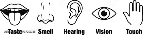 Five Human Senses Set Icons Taste, Smell, Hearing, Vision, and Touch Outlines