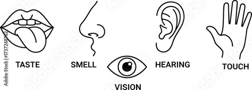 Five Senses Icons Line Art Taste, Smell, Vision, Hearing, Touch on White