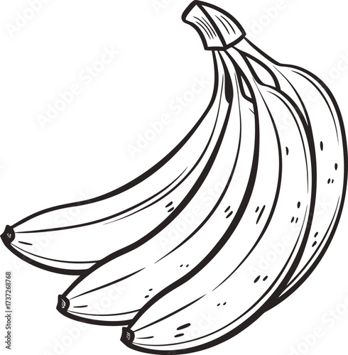 Bunch of bananas isolated on white background, a tropical fruit with a yellow peel and sweet, creamy flesh, a healthy snack